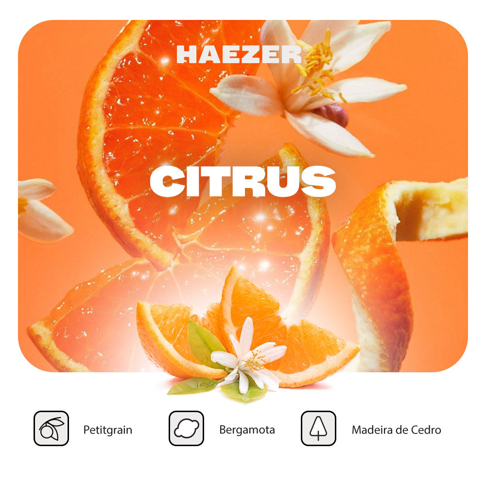 Aromatizador em Pedra Haezer®