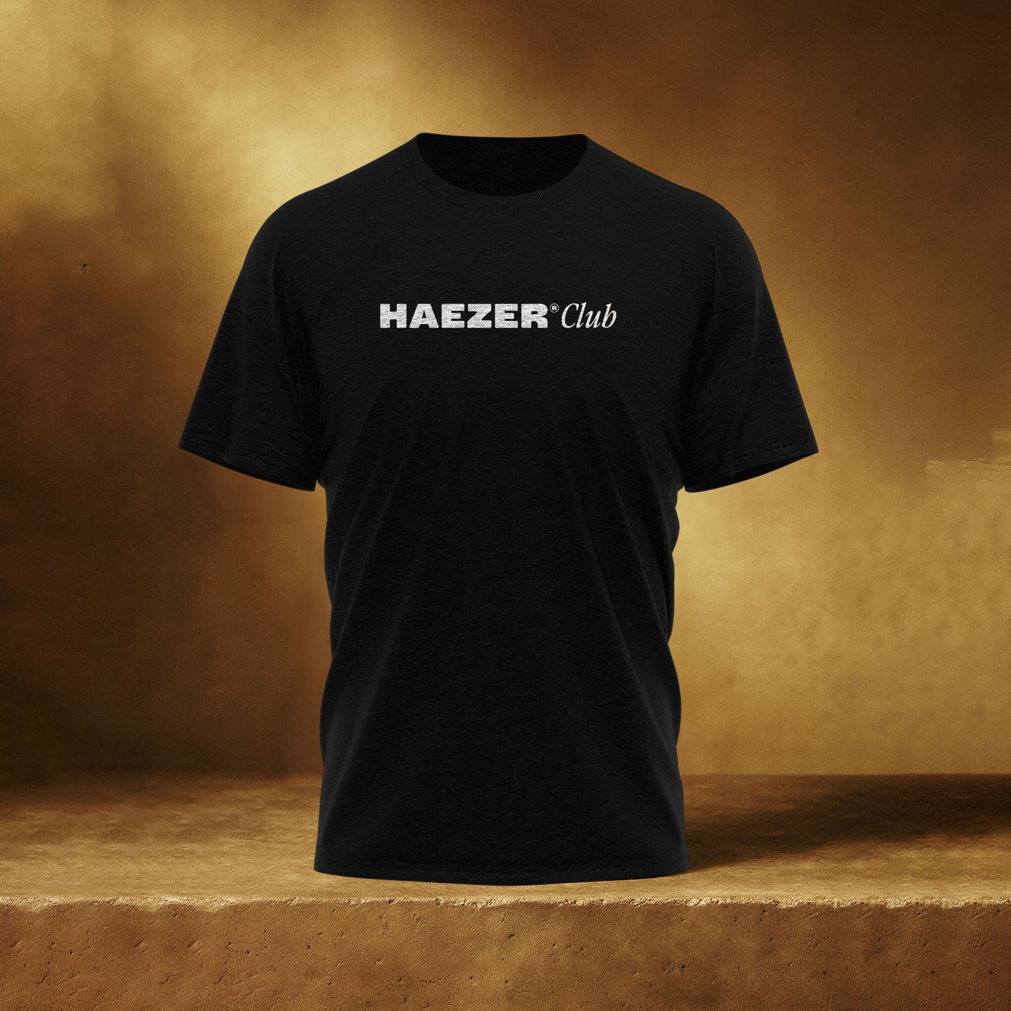 Camiseta Haezer® Classic Algodão Premium