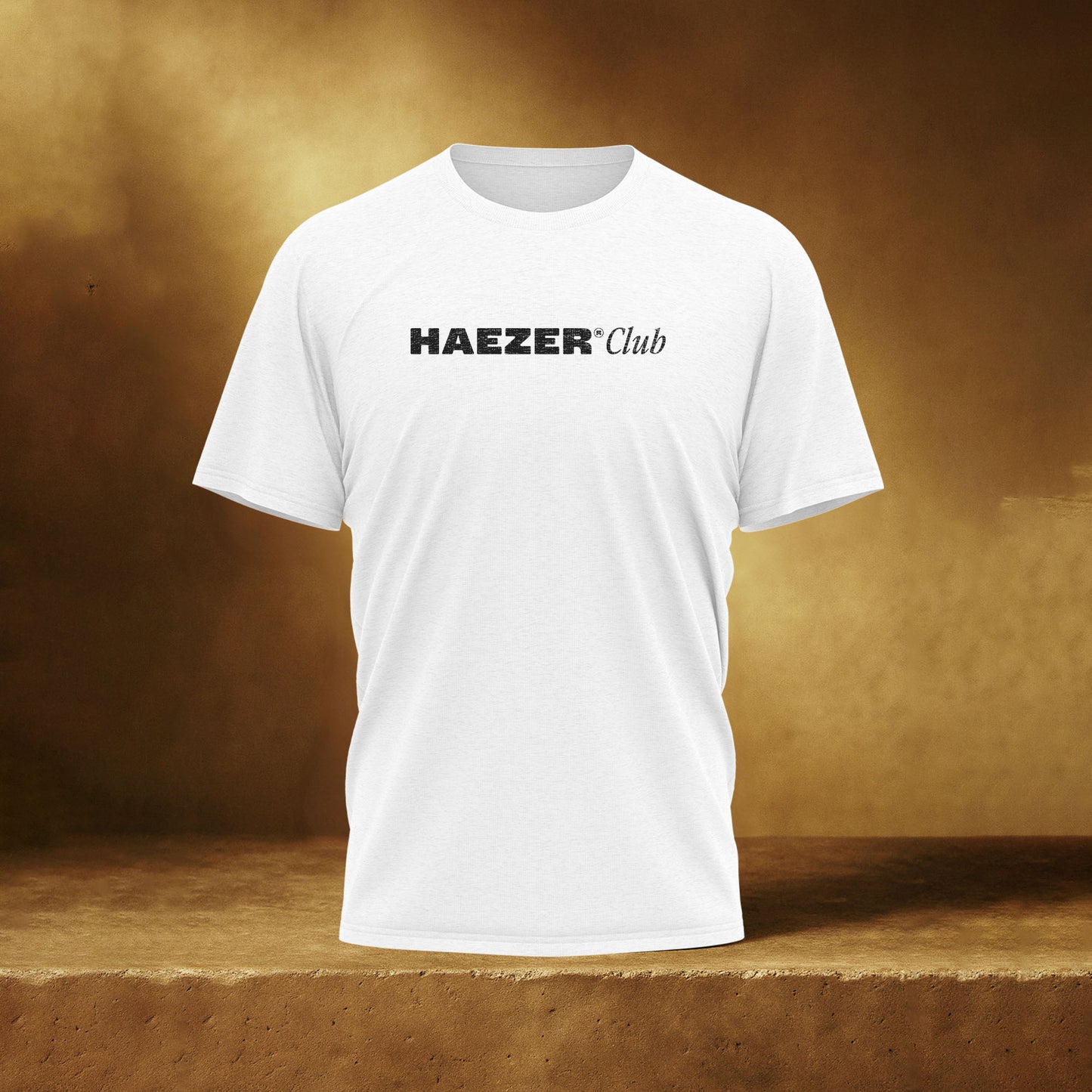 Camiseta Haezer® Classic Algodão Premium